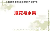 瓶花与水果课件PPT