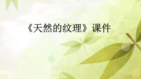 小学美术人教版三年级上册第9课 天然的纹理课文课件ppt