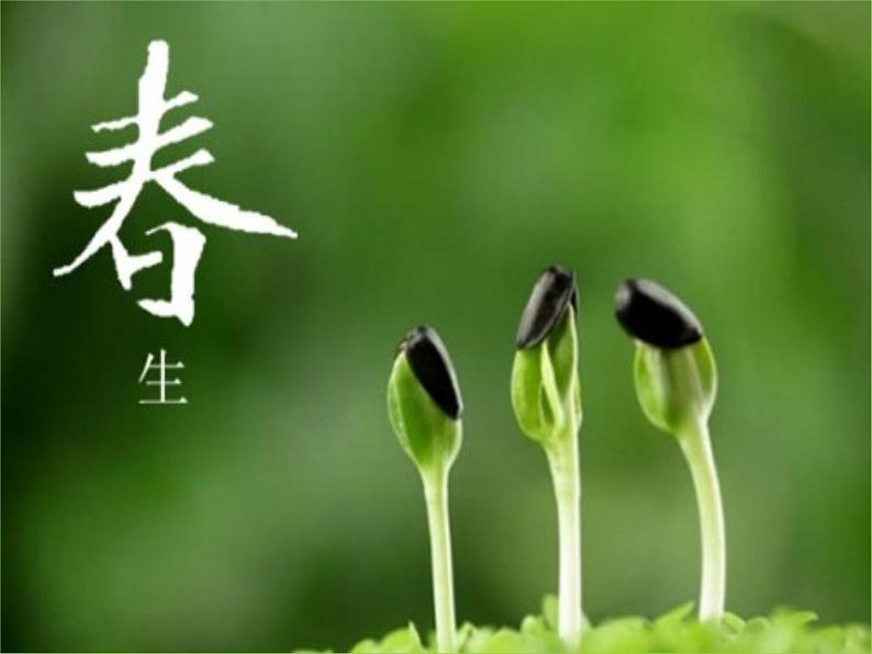 五年级下册美术课件-第2课 春天的歌|辽海版(28张PPT)第2页