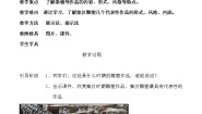 小学美术辽海版五年级下册第21课 秦汉雕塑教学设计