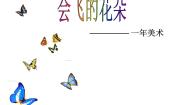 辽海版第11课 会飞的花朵课文内容ppt课件