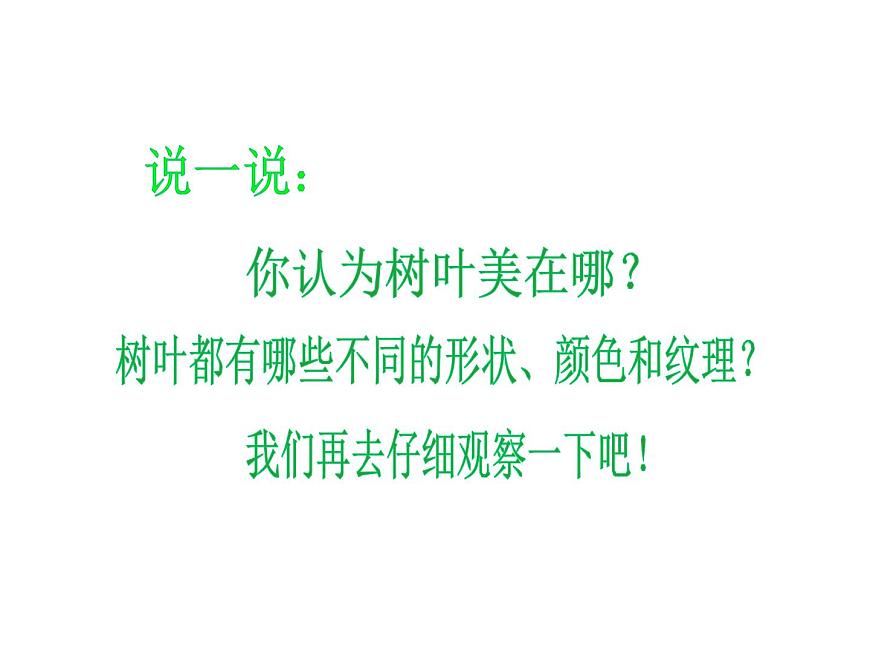 《畫(huà)畫(huà)葉子》課件1第3頁(yè)