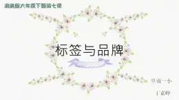 湖南美术出版社小学美术六年级下册 7. 标签与品牌(4) 课件