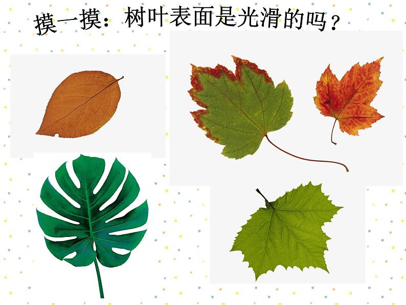 浙美版小学美术二年级下册9-印印画画-课件06