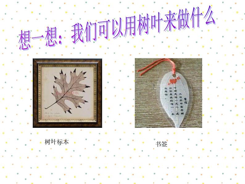 浙美版小学美术二年级下册9-印印画画-课件07