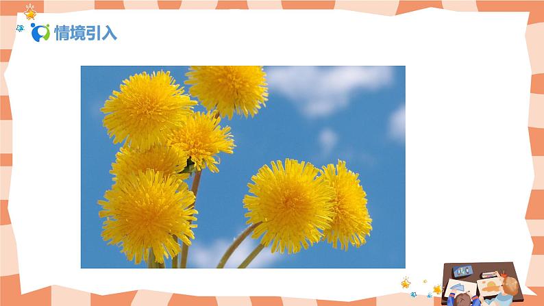 人美版美术六上第11课《镜头里的花》课件+教学设计05