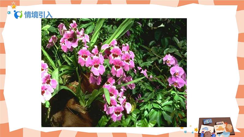 人美版美术六上第11课《镜头里的花》课件+教学设计06