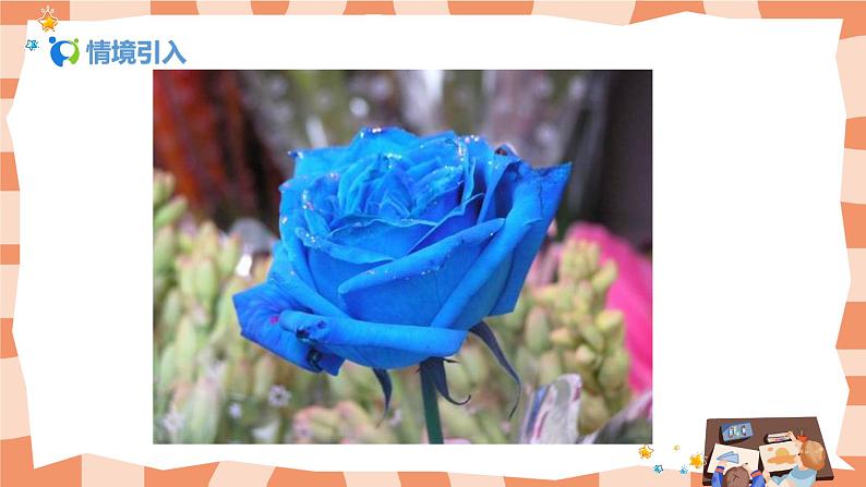 人美版美术六上第11课《镜头里的花》课件+教学设计07