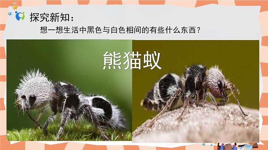 人教版小學(xué)美術(shù)三年級(jí)上冊《黑與白》課件第6頁