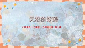 美术三年级上册第9课 天然的纹理精品ppt课件