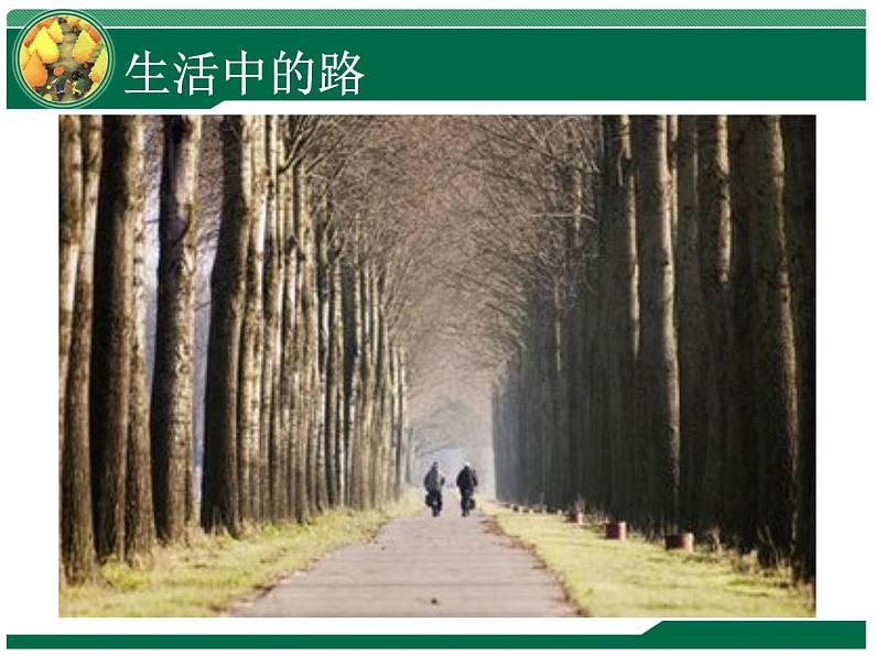 第3课《远去的路》(课件)- 美术六年级上册 人教版05