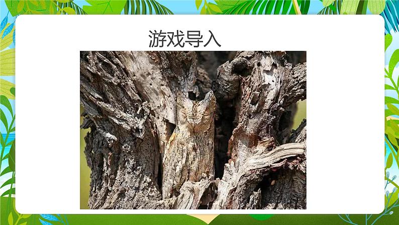 浙美版1上美术17《动物身上的斑点》课件第5页