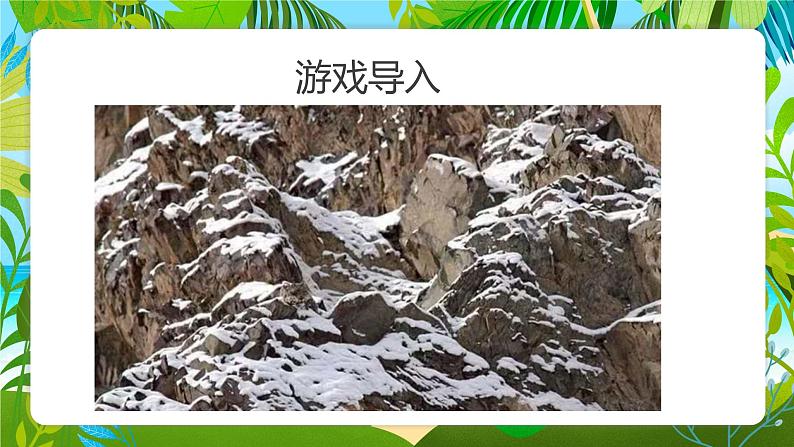 浙美版1上美术17《动物身上的斑点》课件第6页