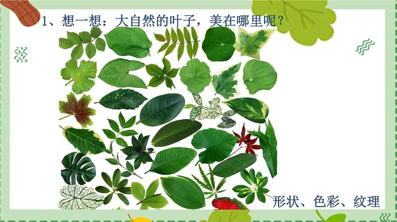 浙美版1上美术18《画画叶子》课件第6页
