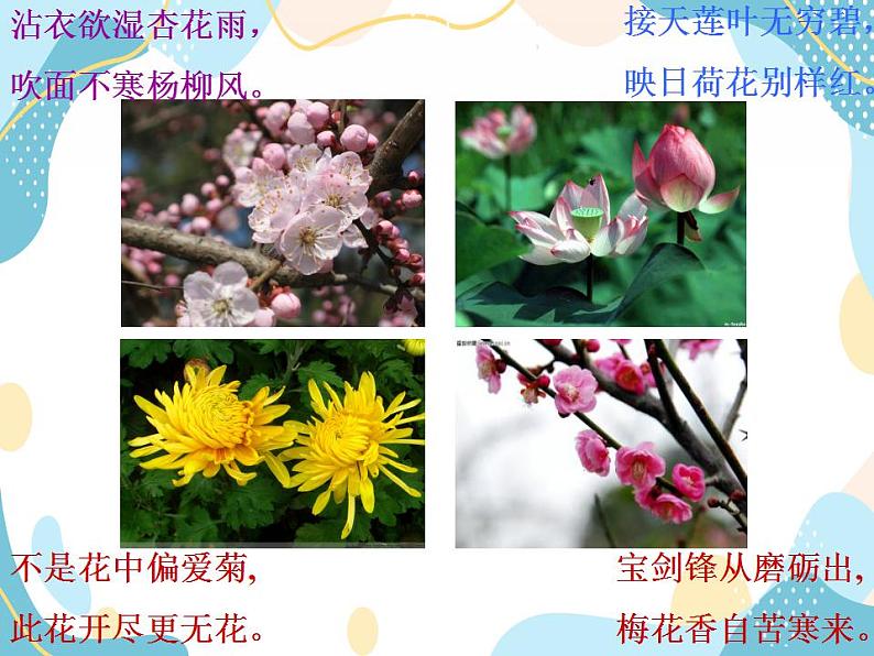 五年级上册美术课件第12课 彩墨花卉|沪教版第1页