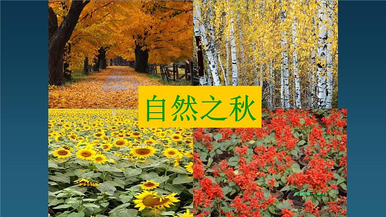 人美版(北京)二年级上册美术教学课件_2.4 丰收了03