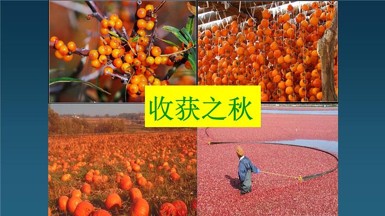 人美版(北京)二年级上册美术教学课件_2.4 丰收了05