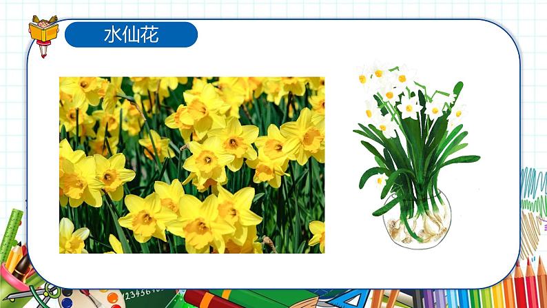 小学美术 一年级上册 第十一课《花儿寄深情》课件PPT+教案04