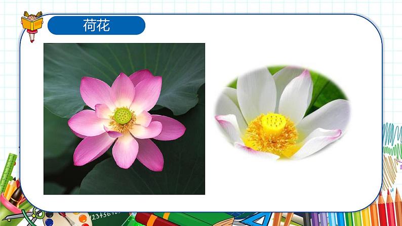 小学美术 一年级上册 第十一课《花儿寄深情》课件PPT+教案07