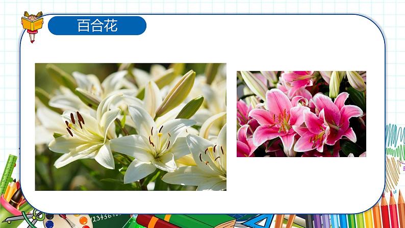 小学美术 一年级上册 第十一课《花儿寄深情》课件PPT+教案08
