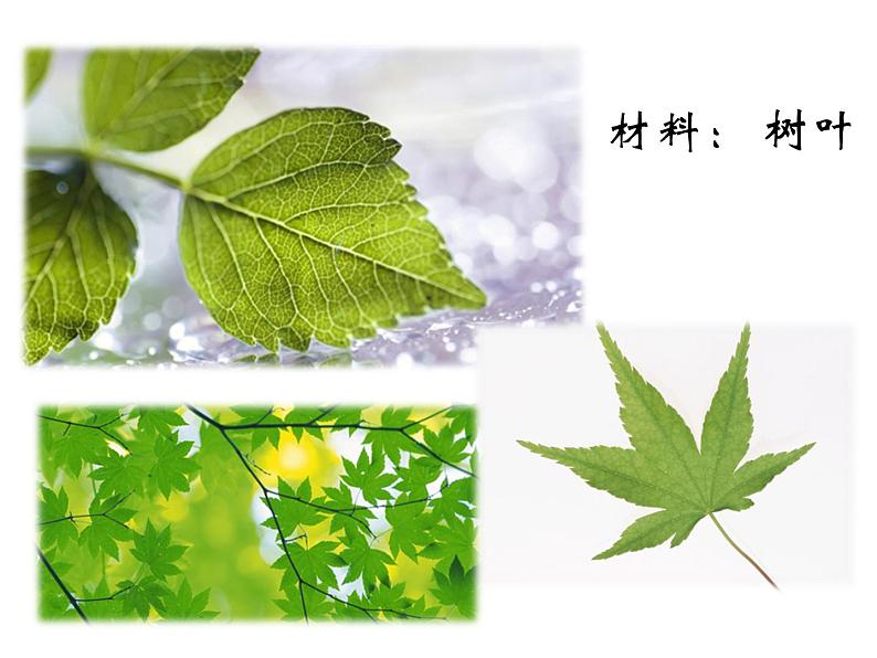 《巧思妙贴》文档资料:树叶拼贴制作方法第2页