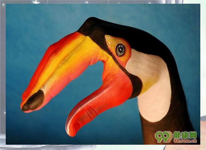 人教版美术三年级下册7.变化无穷的形象  课件02