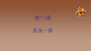 2020-2021学年11. 昆虫的一家教学ppt课件