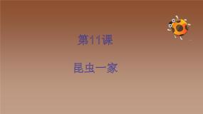 2020-2021学年11. 昆虫的一家教学ppt课件