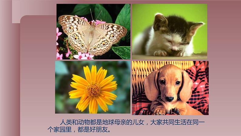 人美版(北京)二年级上册美术教学课件_2.8 电脑美术—我的新画板02
