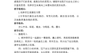 美术二年级下册第3课 点、线、面教学设计
