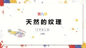 人教版三年级上册第9课 天然的纹理一等奖课件ppt