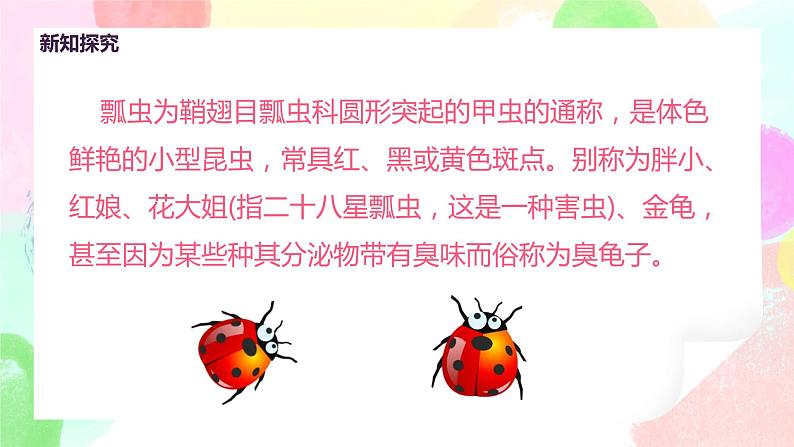 人教版美术一下8.《瓢虫的花衣裳》课件+教学设计06
