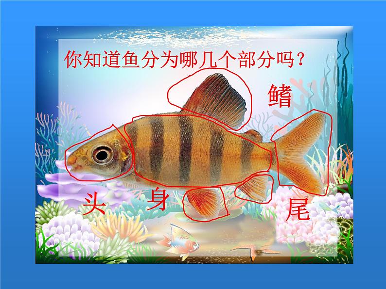 湖南美术出版社小学美术一年级下册 14. 剪对称鱼形第4页
