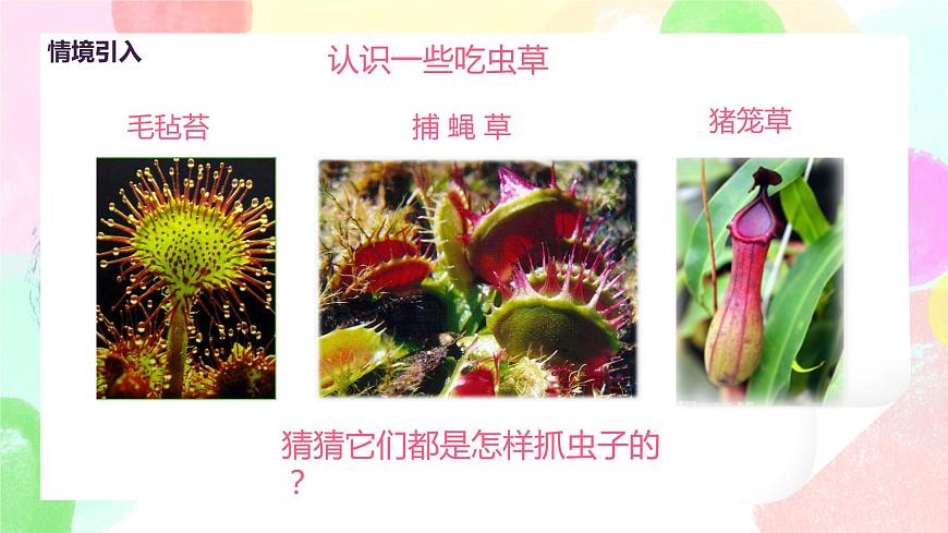 人美版美術(shù)二下2.《吃蟲草》課件第5頁