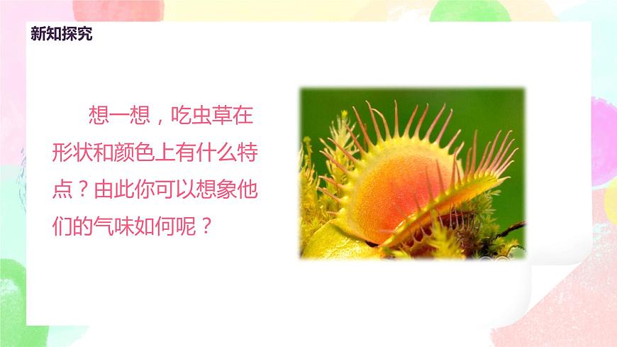 人美版美術(shù)二下2.《吃蟲草》課件第7頁