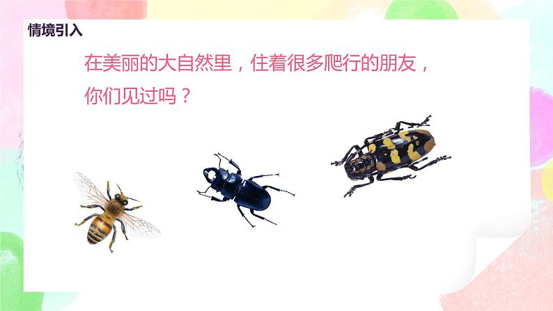 人美版美术一下11.《奇妙的爬行》课件+教学设计04