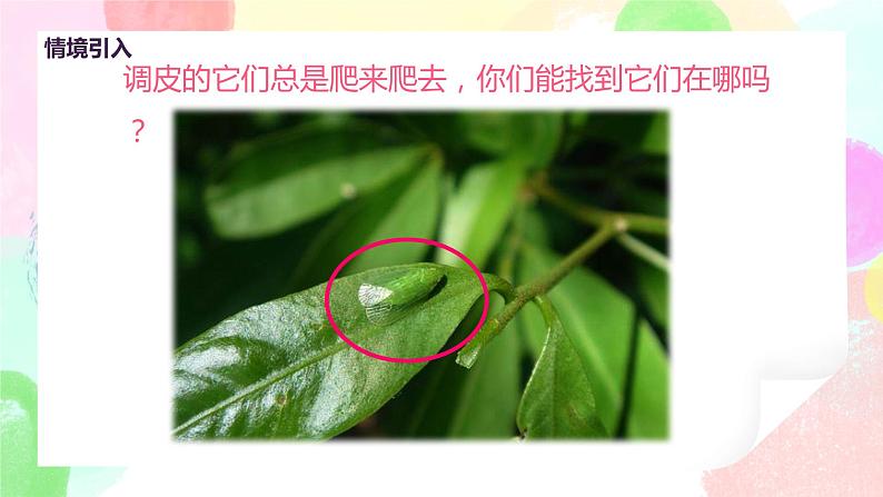 人美版美术一下11.《奇妙的爬行》课件+教学设计05