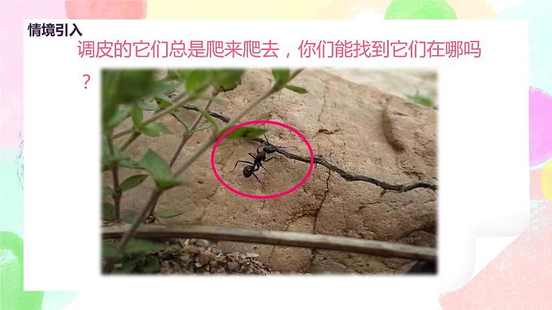 人美版美术一下11.《奇妙的爬行》课件+教学设计06