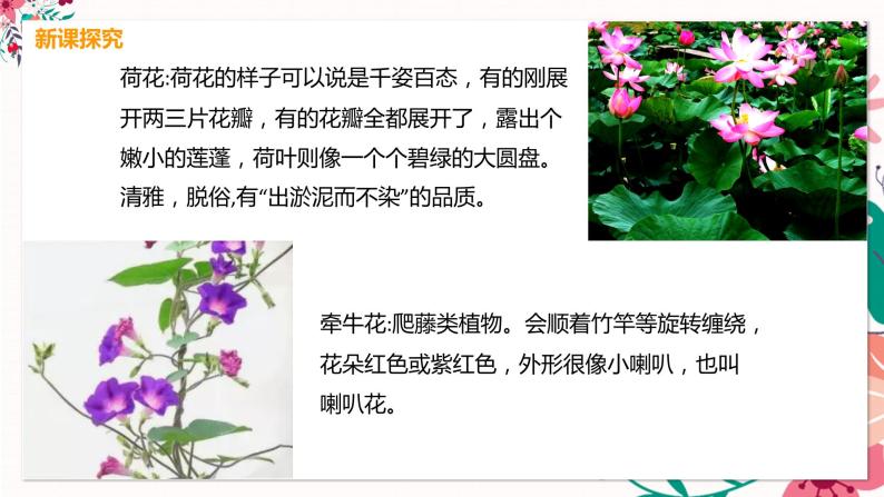 人美版美术三下17. 娇艳的花 课件+教学设计+素材08