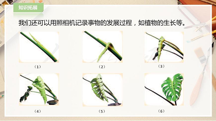 人教版美術(shù) 六年級(jí)下冊(cè) 第二課 尋找美的蹤跡-課件 第8頁