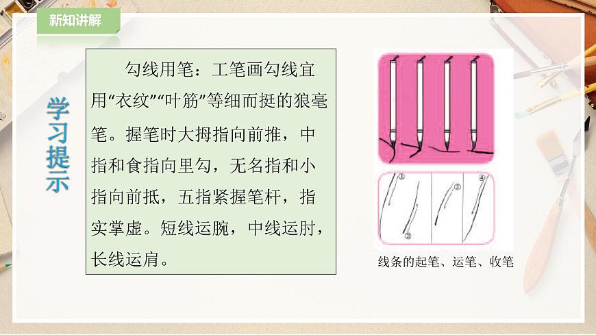 人教版美術(shù) 六年級(jí)下冊(cè) 第七課 工筆花卉-課件第8頁(yè)
