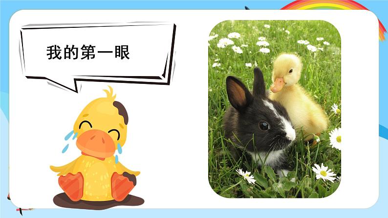 8《小动物和妈妈》(课件+教案)08