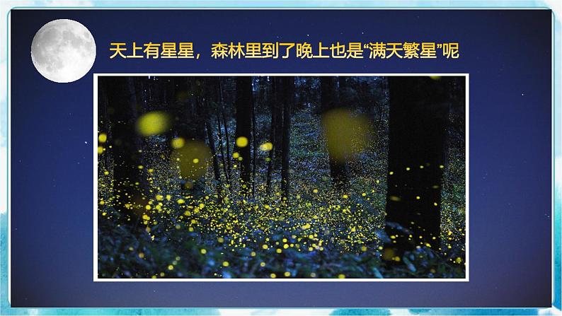 画夜景(课件)03