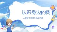 小学美术人美版二年级下册3.认识身边的树精品ppt课件