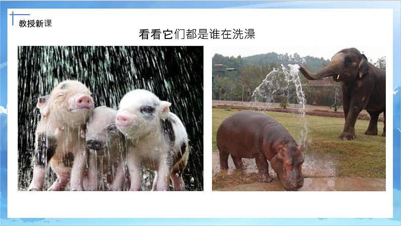 第八课《洗澡》课件+教案03