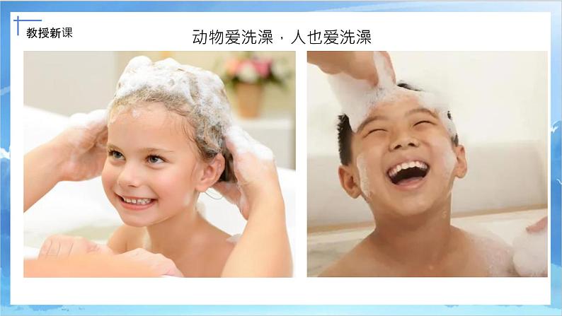 第八课《洗澡》课件+教案07