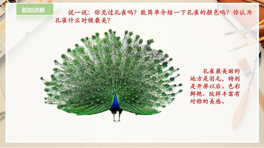 人教版 美術(shù) 二年級下冊 第七課《美麗孔雀》課件第3頁