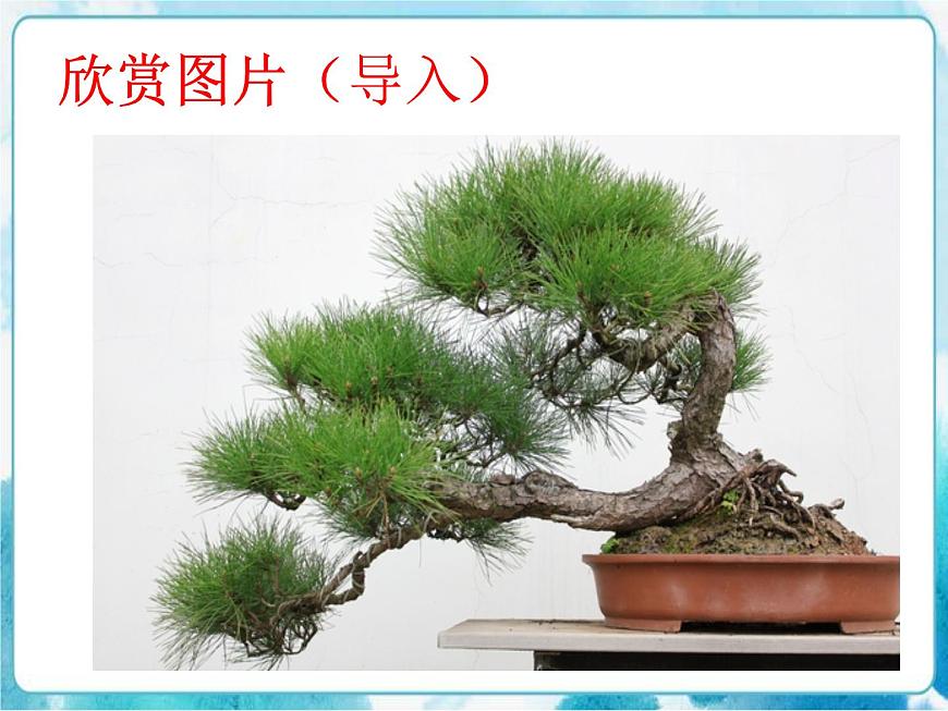 第11課 學畫松樹人教版美術五年級下冊課件第2頁
