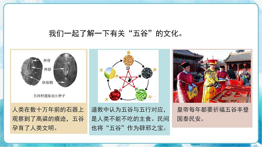 人教版小學(xué)四年級美術(shù)下冊《“五谷”作畫》精品課件內(nèi)嵌視頻第6頁