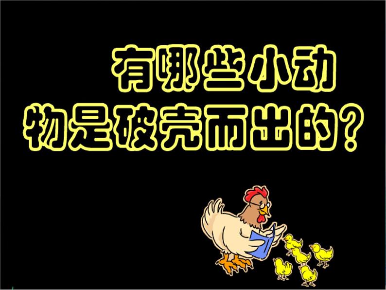 第3课 出壳了 美术一年级下册-人美版课件03